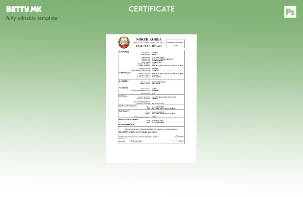 модерен стил на Северна Кореја од витално значење за умрениот шаблон Word и PDF 